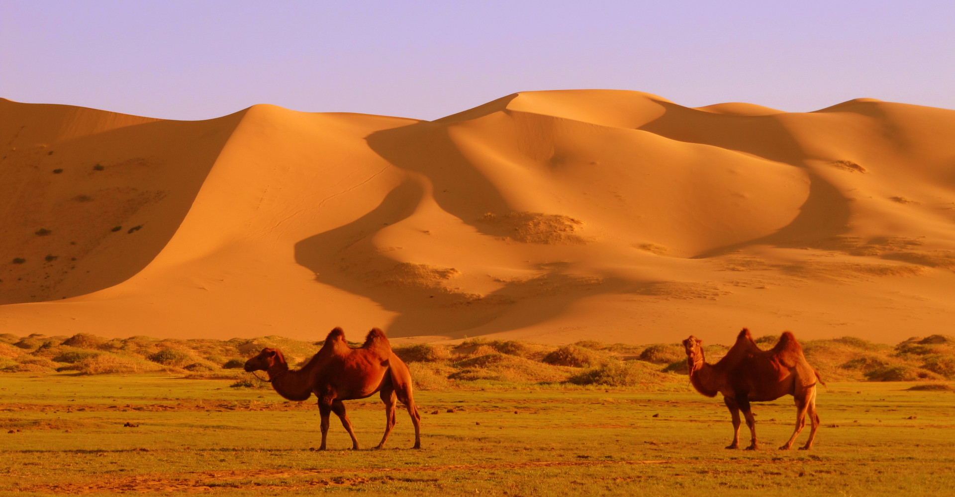 Infrastructure Banner